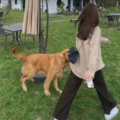 孤单的豌豆